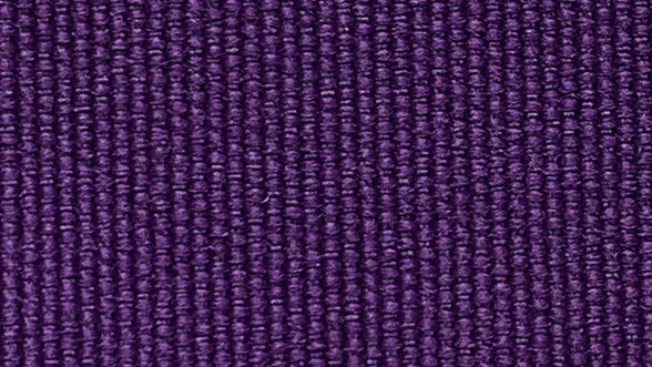 viola