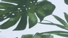 Verde giungla
