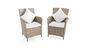 Set di 2 sedie Ceres