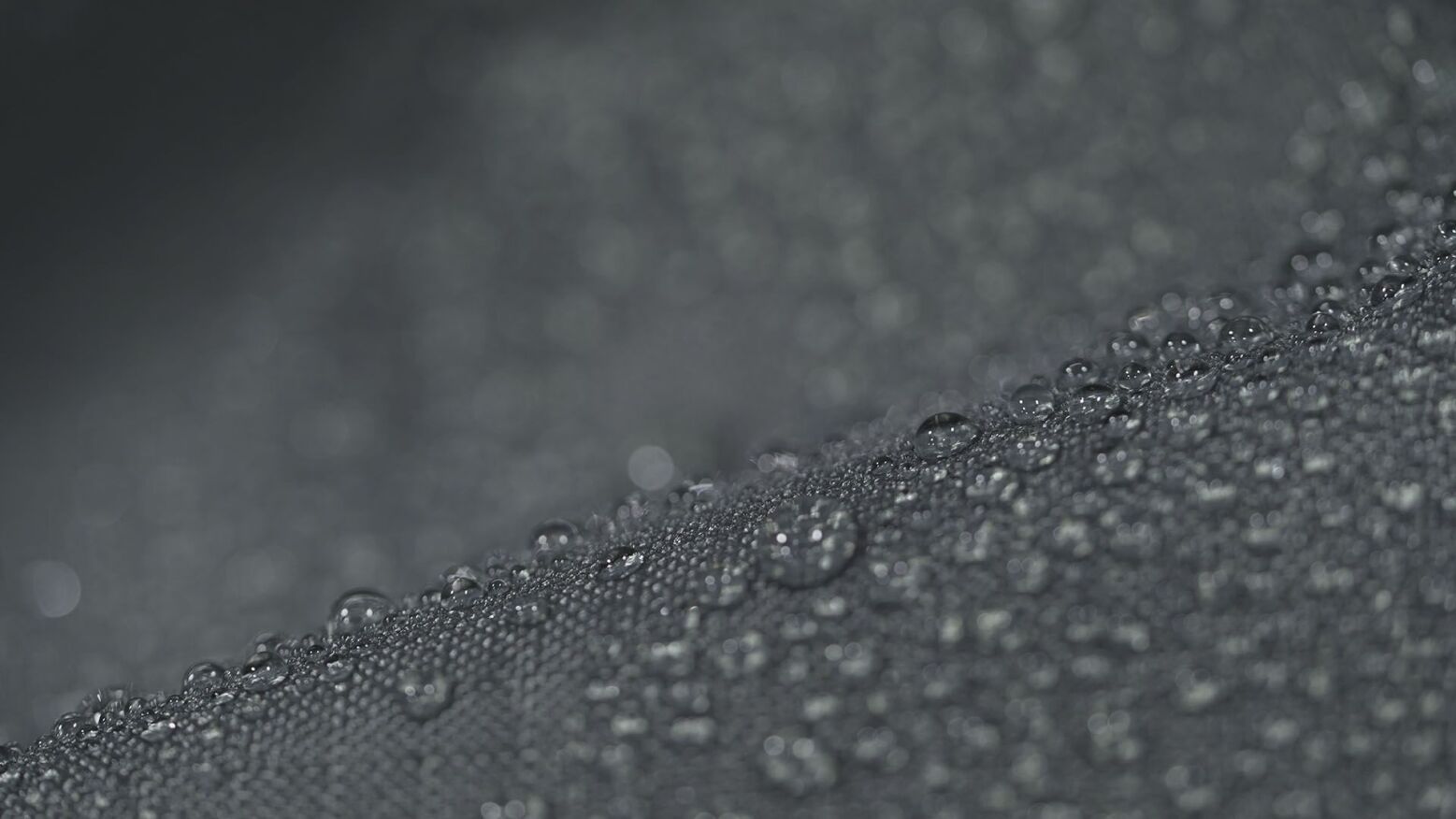 XXO L Telo di protezione