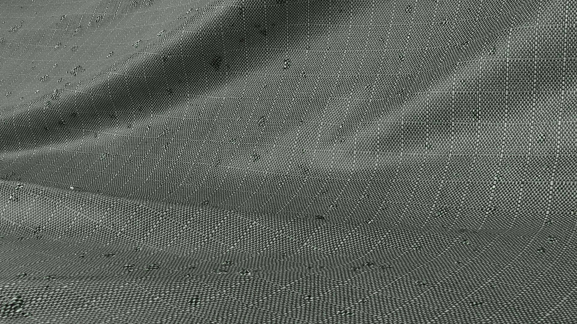 Remy L Telo di protezione