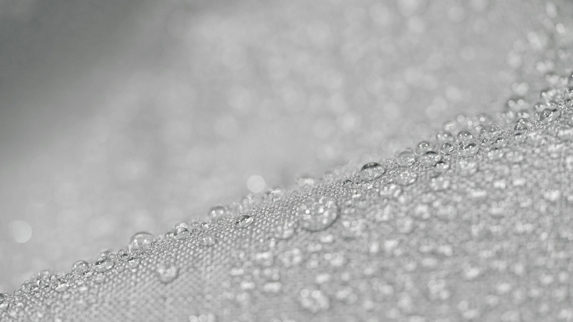 Larentia Telo di protezione seduta centrale