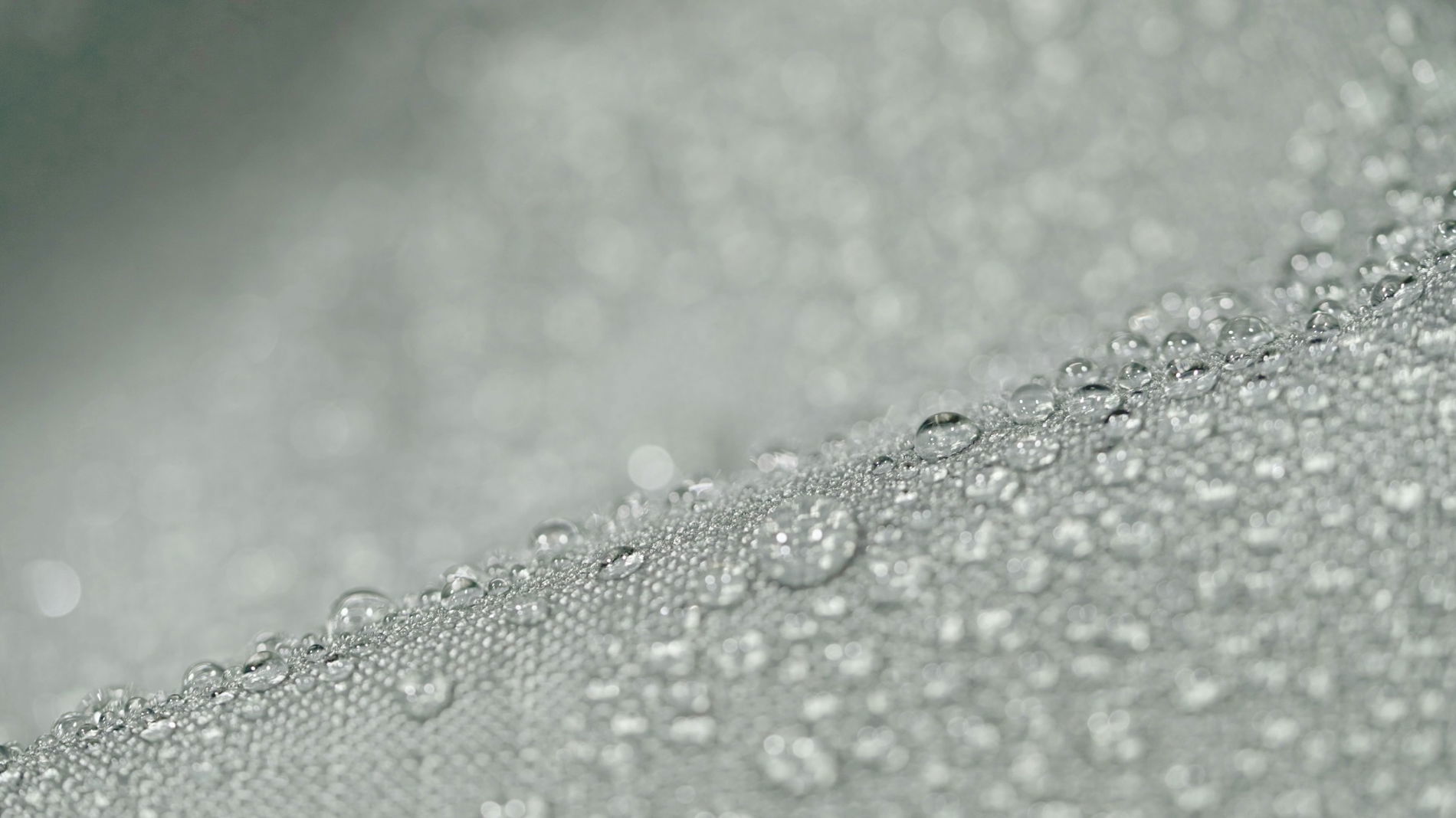 Simonia S Telo di protezione