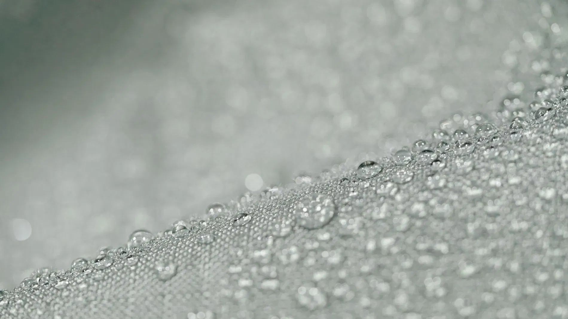 Bari Telo protettivo seduta individuale